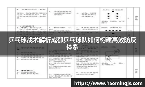 乒乓球战术解析成都乒乓球队如何构建高效防反体系